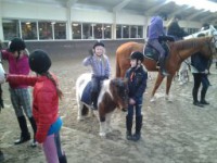 /album/the-best-pony/camera-marjan-2146-jpg/